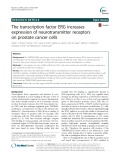 The transcription factor ERG increases expression of neurotransmitter receptors on prostate cancer cells