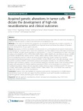 Acquired genetic alterations in tumor cells dictate the development of high-risk neuroblastoma and clinical outcomes