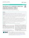 Identification of a metabolism-related gene expression prognostic model in endometrial carcinoma patients