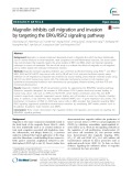 Magnolin inhibits cell migration and invasion by targeting the ERKs/RSK2 signaling pathway