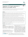 Regulation of IL-8 gene expression in gliomas by microRNA miR-93