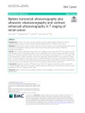 Biplane transrectal ultrasonography plus ultrasonic elastosonography and contrastenhanced ultrasonography in T staging of rectal cancer