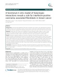 A functional in vitro model of heterotypic interactions reveals a role for interferon-positive carcinoma associated fibroblasts in breast cancer