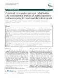 Combined comparative genomic hybridization and transcriptomic analyses of ovarian granulosa cell tumors point to novel candidate driver genes
