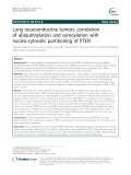 Lung neuroendocrine tumors: correlation of ubiquitinylation and sumoylation with nucleo-cytosolic partitioning of PTEN