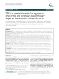 DEK is a potential marker for aggressive phenotype and irinotecan-based therapy response in metastatic colorectal cancer
