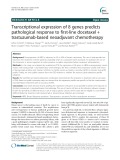 Transcriptional expression of 8 genes predicts pathological response to first-line docetaxel + trastuzumab-based neoadjuvant chemotherapy