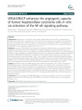 URG4/URGCP enhances the angiogenic capacity of human hepatocellular carcinoma cells in vitro via activation of the NF-κB signaling pathway