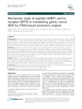 Mechanism study of peptide GMBP1 and its receptor GRP78 in modulating gastric cancer MDR by iTRAQ-based proteomic analysis