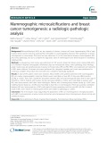 Mammographic microcalcifications and breast cancer tumorigenesis: A radiologic-pathologic analysis