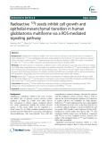 Radioactive 125I seeds inhibit cell growth and epithelial-mesenchymal transition in human glioblastoma multiforme via a ROS-mediated signaling pathway