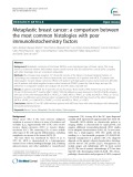 Metaplastic breast cancer: A comparison between the most common histologies with poor immunohistochemistry factors