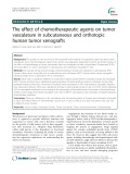 The effect of chemotherapeutic agents on tumor vasculature in subcutaneous and orthotopic human tumor xenografts