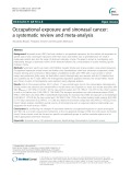 Occupational exposure and sinonasal cancer: A systematic review and meta-analysis