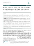 Human pancreatic cancer stem cells are sensitive to dual inhibition of IGF-IR and ErbB receptors