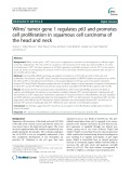 Wilms’ tumor gene 1 regulates p63 and promotes cell proliferation in squamous cell carcinoma of the head and neck