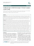 Confocal laser endomicroscopy in breast surgery: A pilot study