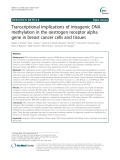 Transcriptional implications of intragenic DNA methylation in the oestrogen receptor alpha gene in breast cancer cells and tissues