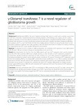 γ-Glutamyl transferase 7 is a novel regulator of glioblastoma growth