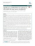 Significance of KRAS/PAK1/Crk pathway in non-small cell lung cancer oncogenesis