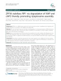 ZFP36 stabilizes RIP1 via degradation of XIAP and cIAP2 thereby promoting ripoptosome assembly