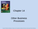 Lecture Accounting information systems: Basic concepts and current issues (4/e): Chapter 14 - Robert L. Hurt