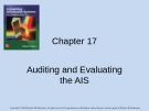 Lecture Accounting information systems: Basic concepts and current issues (4/e): Chapter 17 - Robert L. Hurt