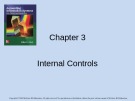 Lecture Accounting information systems: Basic concepts and current issues (4/e): Chapter 3 - Robert L. Hurt