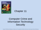 Lecture Accounting information systems: Basic concepts and current issues (4/e): Chapter 11 - Robert L. Hurt