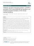 Inhibition of STAT3-interacting protein 1 (STATIP1) promotes STAT3 transcriptional up-regulation and imatinib mesylate resistance in the chronic myeloid leukemia