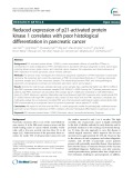 Reduced expression of p21-activated protein kinase 1 correlates with poor histological differentiation in pancreatic cancer