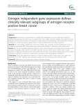 Estrogen independent gene expression defines clinically relevant subgroups of estrogen receptor positive breast cancer