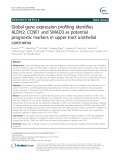 Global gene expression profiling identifies ALDH2, CCNE1 and SMAD3 as potential prognostic markers in upper tract urothelial carcinoma