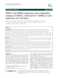 HMGA1 and HMGA2 expression and comparative analyses of HMGA2, Lin28 and let-7 miRNAs in oral squamous cell carcinoma
