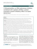 3'-Ethynylcytidine, an RNA polymerase inhibitor, combined with cisplatin exhibits a potent synergistic growth-inhibitory effect via Vaults dysfunction