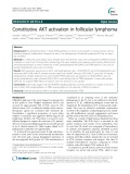 Constitutive AKT activation in follicular lymphoma