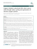 Copper chelation selectively kills colon cancer cells through redox cycling and generation of reactive oxygen species