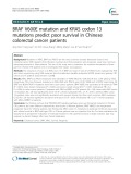 BRAF V600E mutation and KRAS codon 13 mutations predict poor survival in Chinese colorectal cancer patients