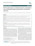 B7-H3 expression in colorectal cancer: Associations with clinicopathological parameters and patient outcome