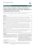Excess visceral adiposity induces alterations in mitochondrial function and energy metabolism in esophageal adenocarcinoma