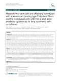 Mesenchymal stem cells are efficiently transduced with adenoviruses bearing type 35-derived fibers and the transduced cells with the IL-28A gene produces cytotoxicity to lung carcinoma cells co-cultured