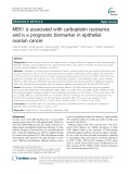 MEK1 is associated with carboplatin resistance and is a prognostic biomarker in epithelial ovarian cancer
