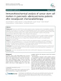 Immunohistochemical analysis of cancer stem cell markers in pancreatic adenocarcinoma patients after neoadjuvant chemoradiotherapy