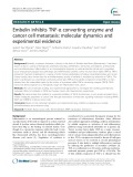 Embelin inhibits TNF-α converting enzyme and cancer cell metastasis: Molecular dynamics and experimental evidence
