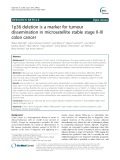 1p36 deletion is a marker for tumour dissemination in microsatellite stable stage II-III colon cancer