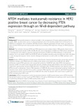 MTDH mediates trastuzumab resistance in HER2 positive breast cancer by decreasing PTEN expression through an NFκB-dependent pathway