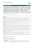 Unraveling the chromosome 17 patterns of FISH in interphase nuclei: An in-depth analysis of the HER2 amplicon and chromosome 17 centromere by karyotyping, FISH and M-FISH in breast cancer cells
