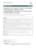 Evaluation of the impact of transient interruption of antiangiogenic treatment using ultrasound-based techniques in a murine model of hepatocellular carcinoma