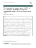 The transcriptional responsiveness of LKB1 to STAT-mediated signaling is differentially modulated by prolactin in human breast cancer cells