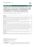 Stability of the CpG island methylator phenotype during glioma progression and identification of methylated loci in secondary glioblastomas